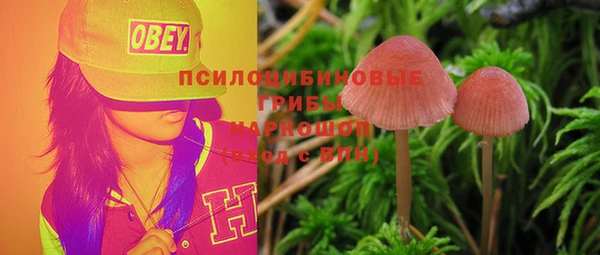 бошки Аркадак